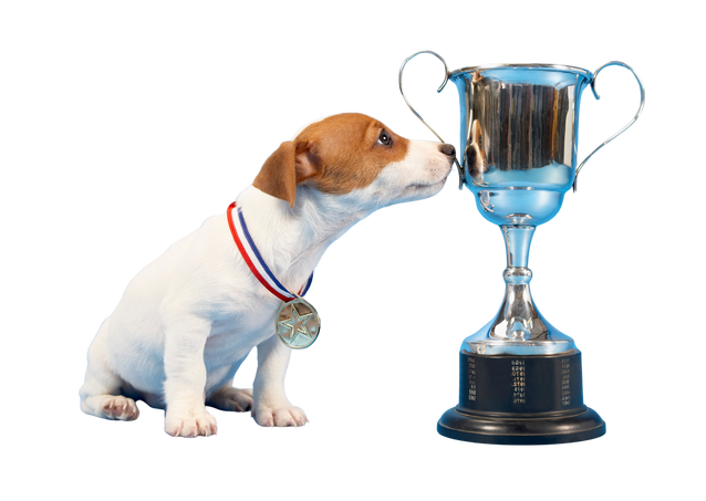 Cane che annusa coppa